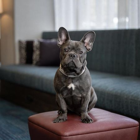 Hampton Inn Cleveland-Downtown Kültér fotó